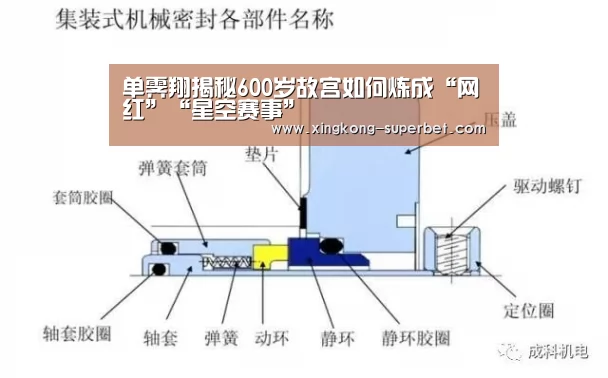 单霁翔揭秘600岁故宫如何炼成“网红”“星空赛事”(图2) 星空官方