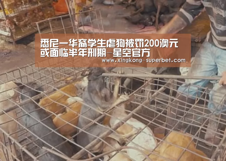 悉尼一华裔学生虐狗被罚200澳元 或面临半年刑期-星空官方(图2) 星空官方