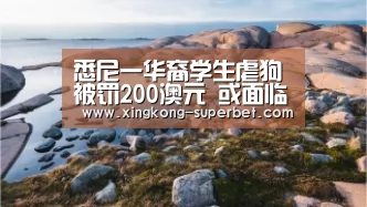 悉尼一华裔学生虐狗被罚200澳元 或面临半年刑期-星空官方(图1) 星空频道
