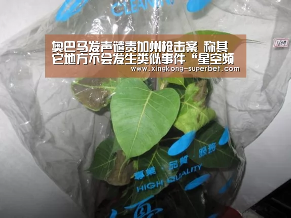 奥巴马发声谴责加州枪击案 称其它地方不会发生类似事件“星空频道”(图1) 星空频道