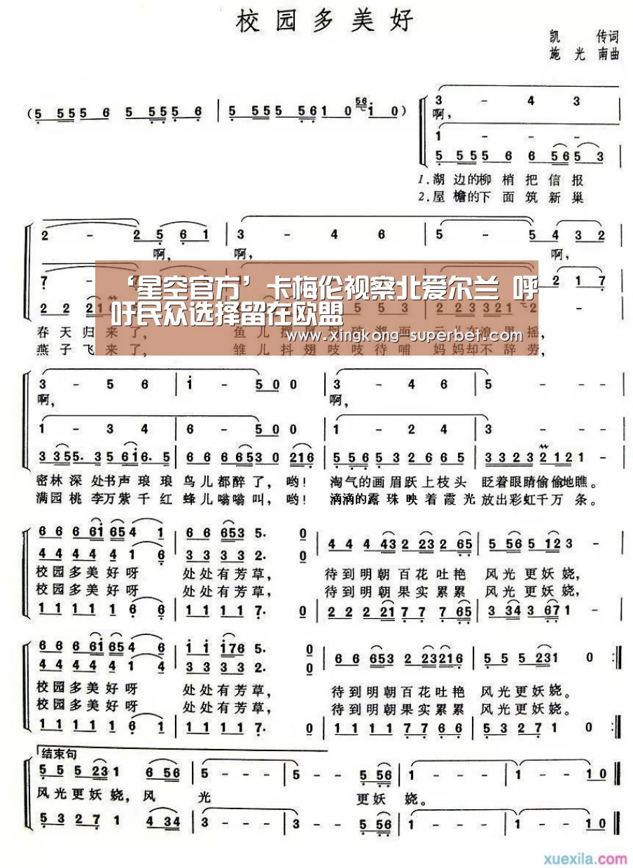 星空赛事