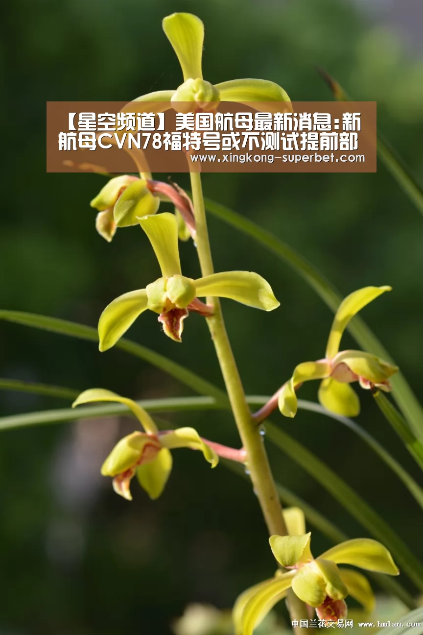 【星空频道】美国航母最新消息:新航母CVN78福特号或不测试提前部署(图2) 星空赛事