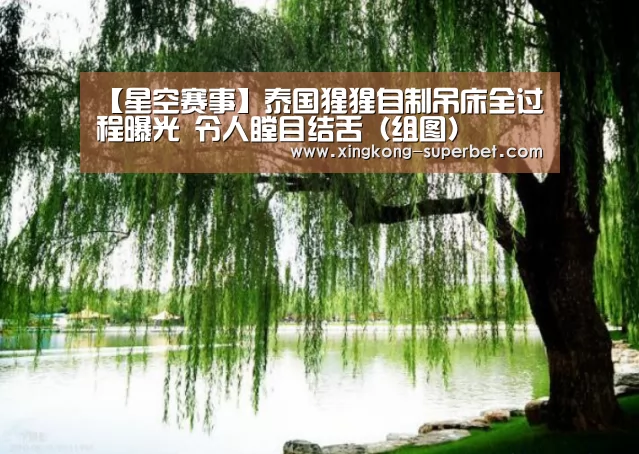 【星空赛事】泰国猩猩自制吊床全过程曝光 令人瞠目结舌(组图)(图1) 星空APP