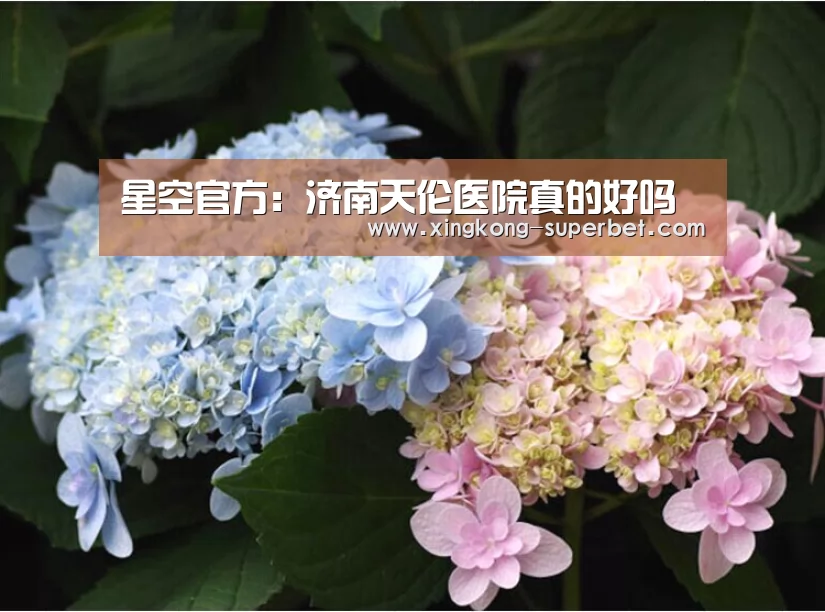 星空官方:济南天伦医院真的好吗(图1) 星空官方