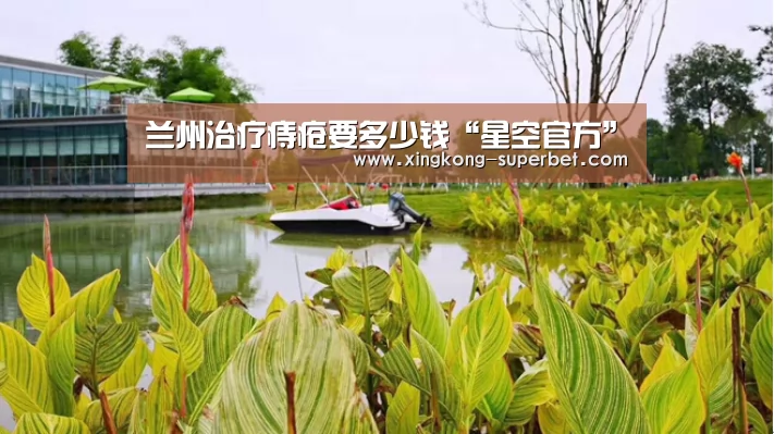 兰州治疗痔疮要多少钱“星空官方”(图4) 星空官方